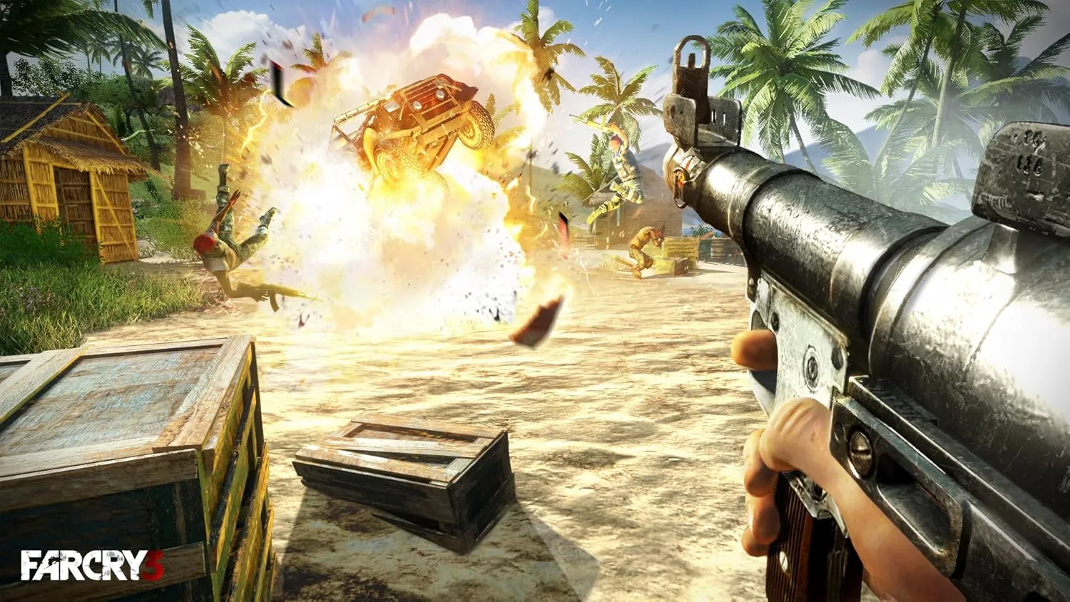 Far Cry 3 - PC