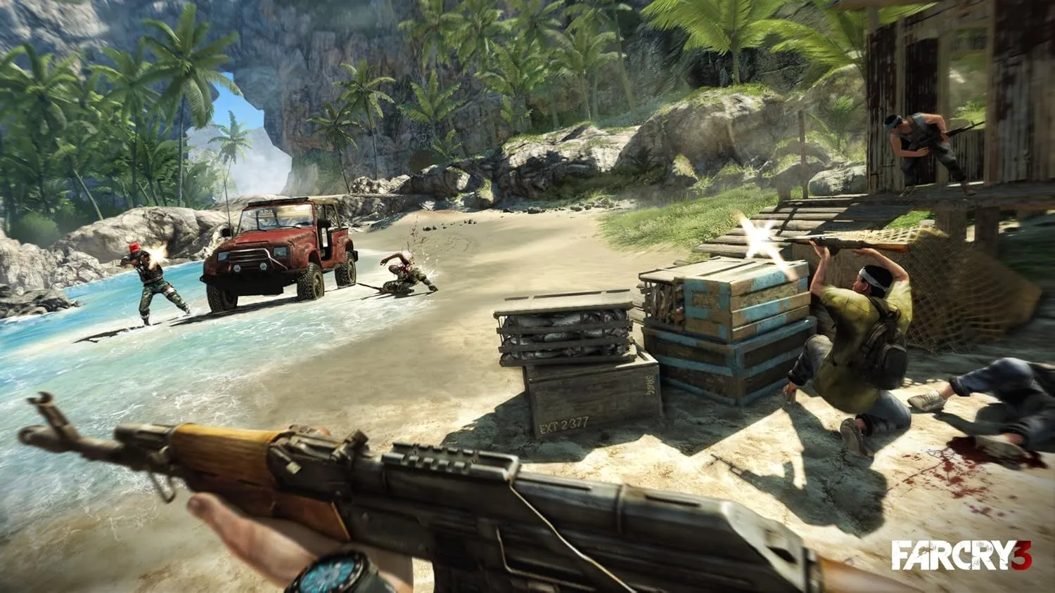 Far Cry 3 - PC