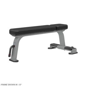 Nautilus Flat Bench
