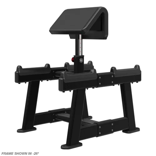 Nautilus Standing Preacher Curl
