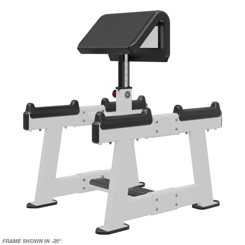Nautilus Standing Preacher Curl