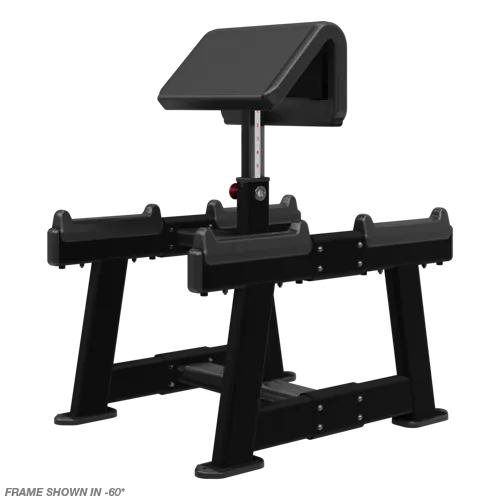 Nautilus Standing Preacher Curl