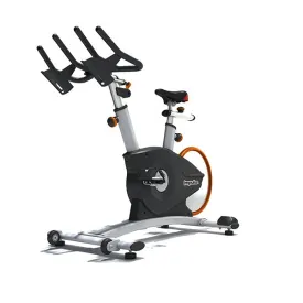 PS450 MAGNETIC INDOOR CYCLE WITH CONSOLE