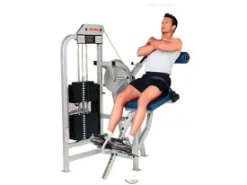 Refurbished Life Fitness Pro Lower Back Extension