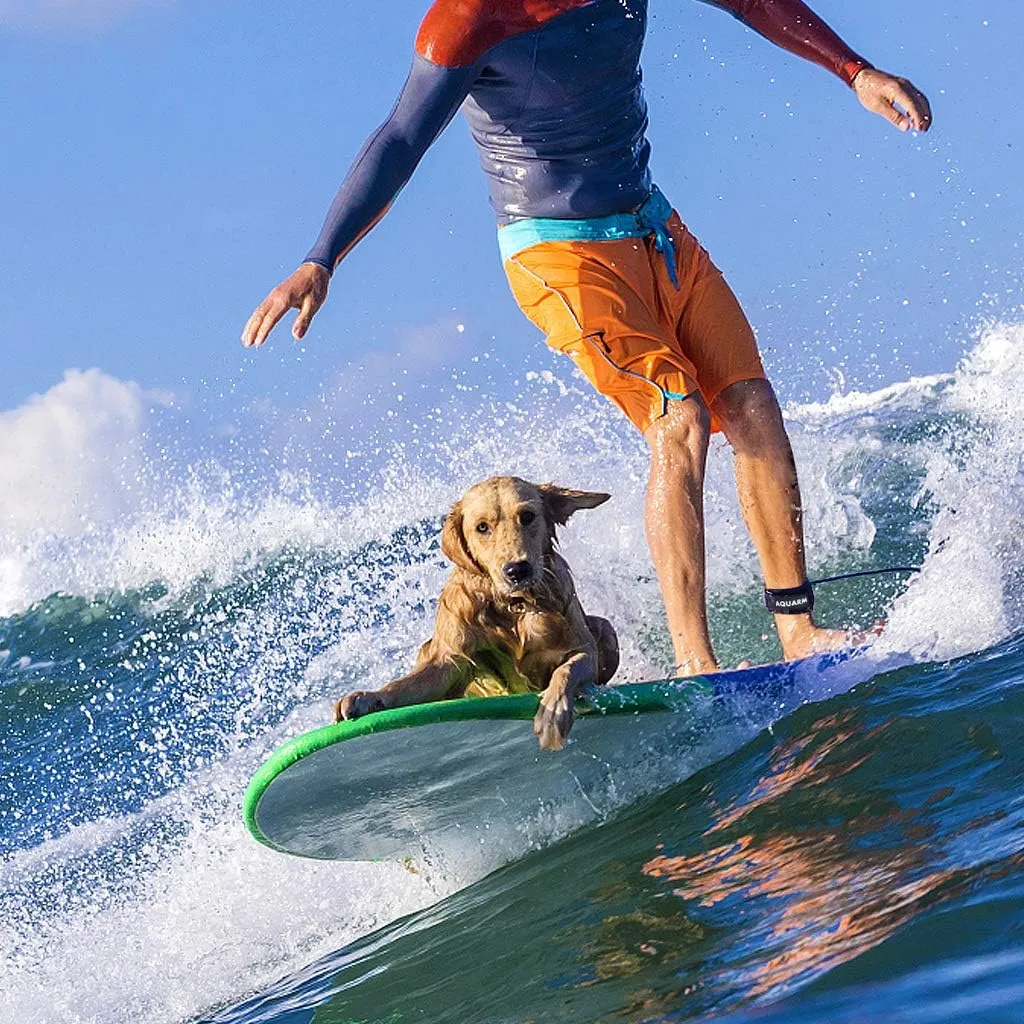 Surfboard Leash 6/7/8/9 Feet, Straight Leg Rope Premium SUP Leashes for Shortboard, Longboard, Paddleboard, Surf Boards, Surf Leash with Double Stainless Steel Swivels