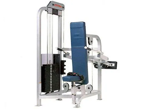 Used Life Fitness Pro Seated Dip